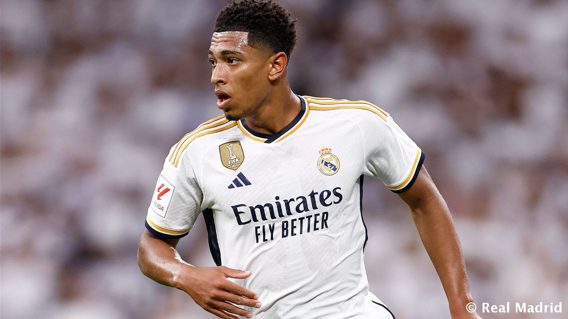 非洲杯再次爆发争议判罚，引球迷不满